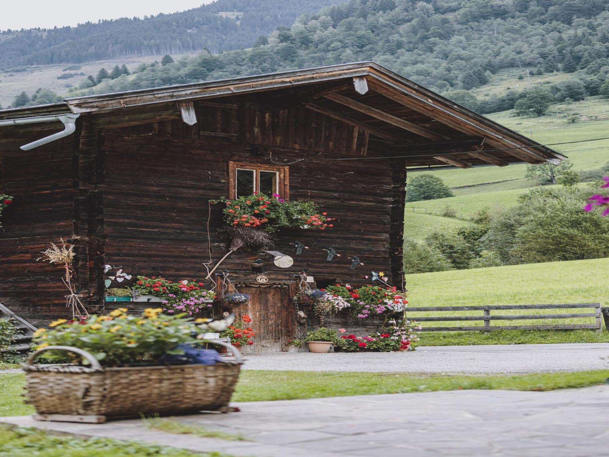 Holiday Home Fusch An Der Glocknerstra E Fusch an der Grossglocknerstrasse Eksteriør bilde
